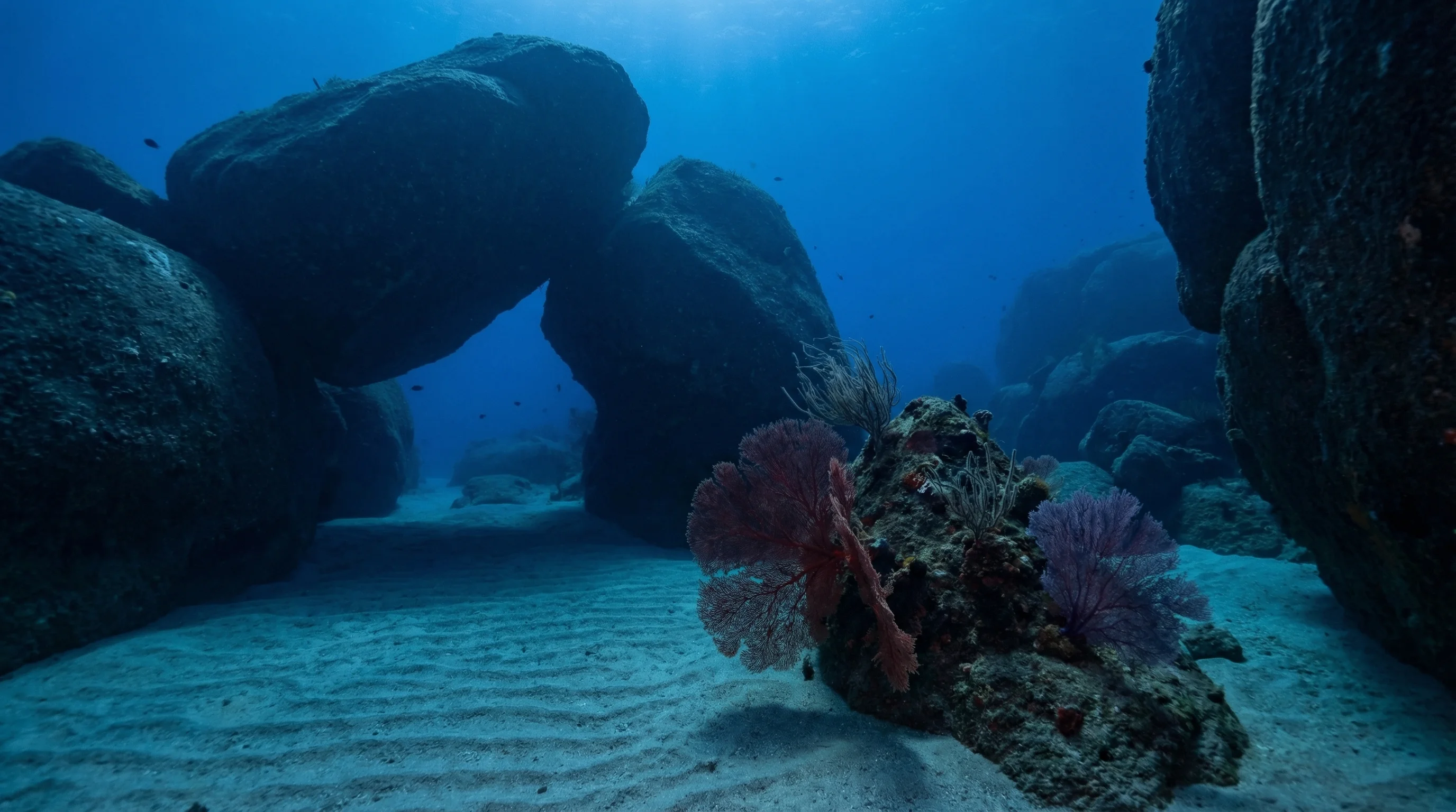 Rocky Point