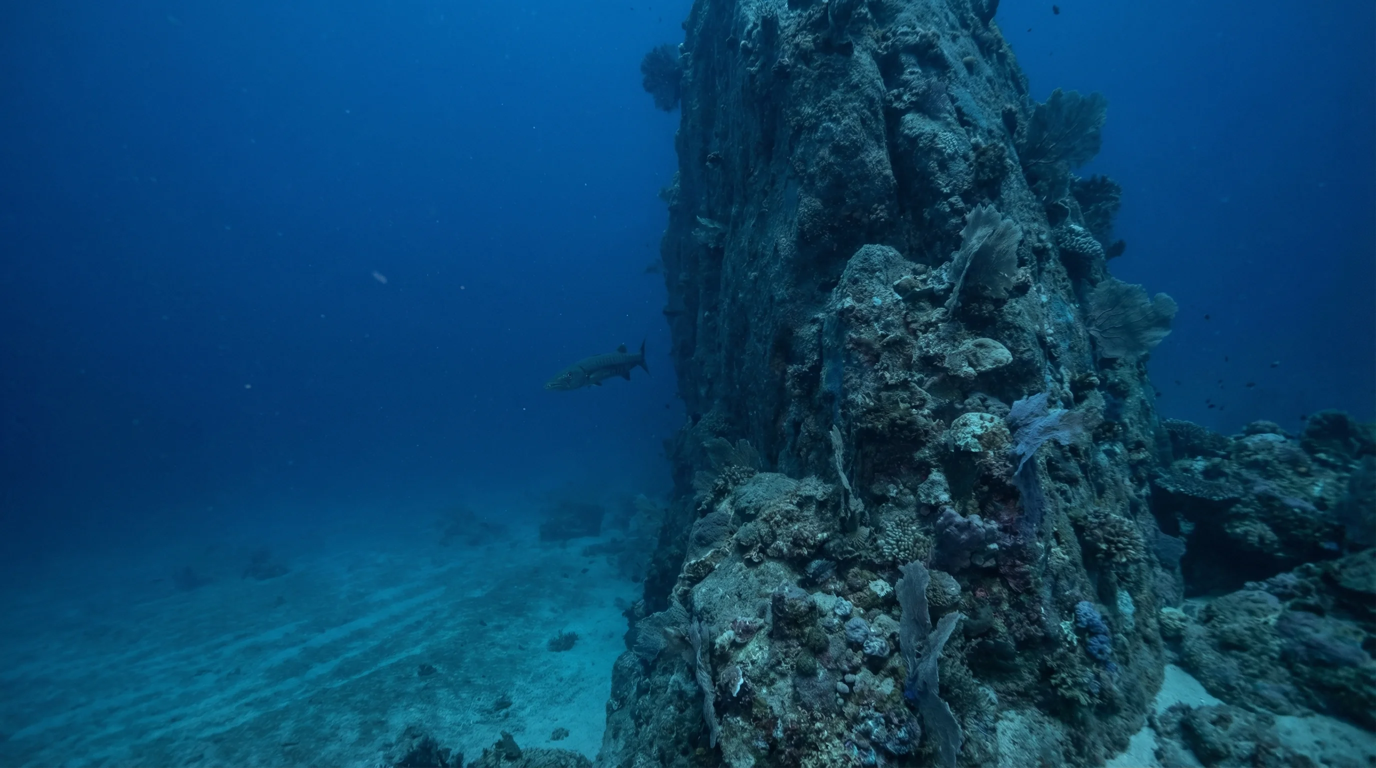 Sail Rock