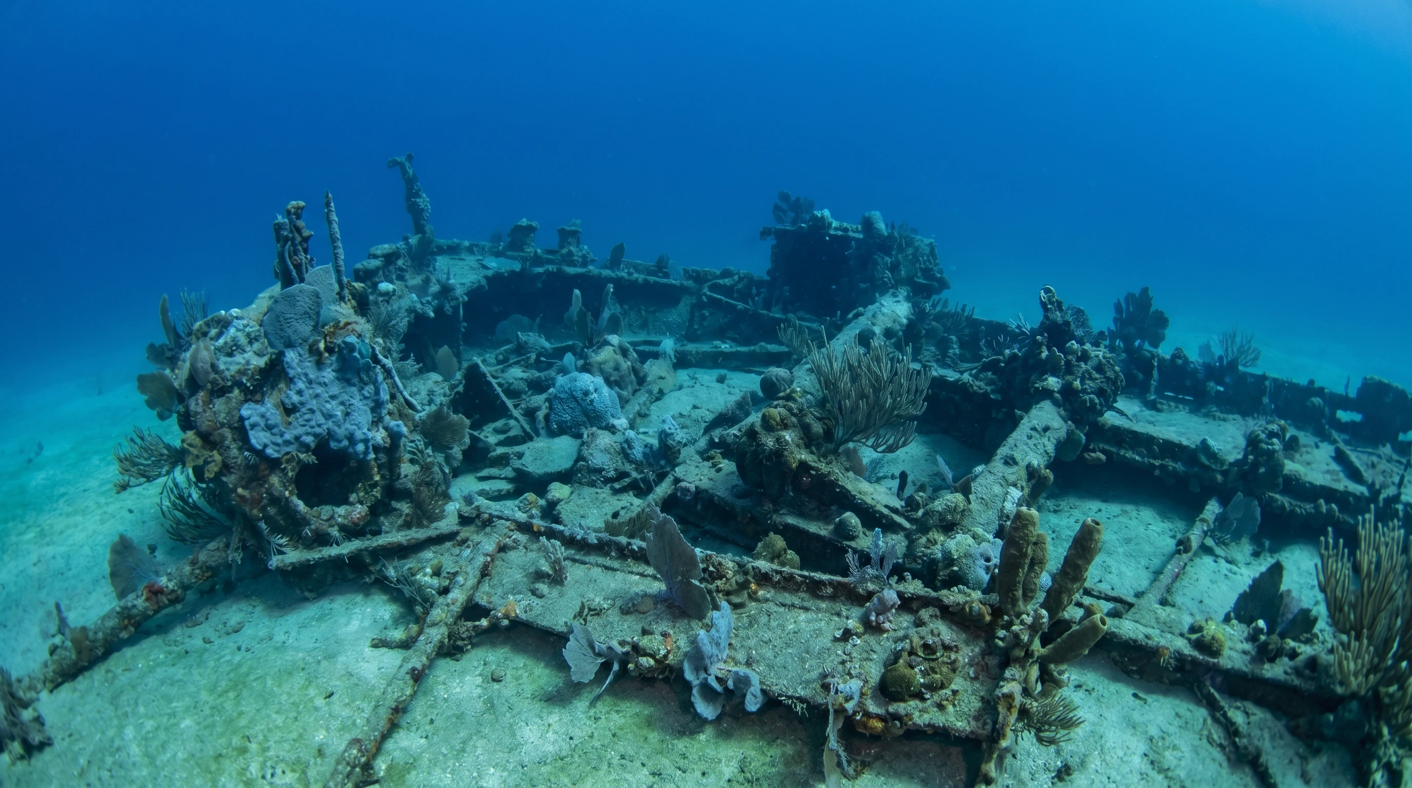 Dive site in Panhandle
