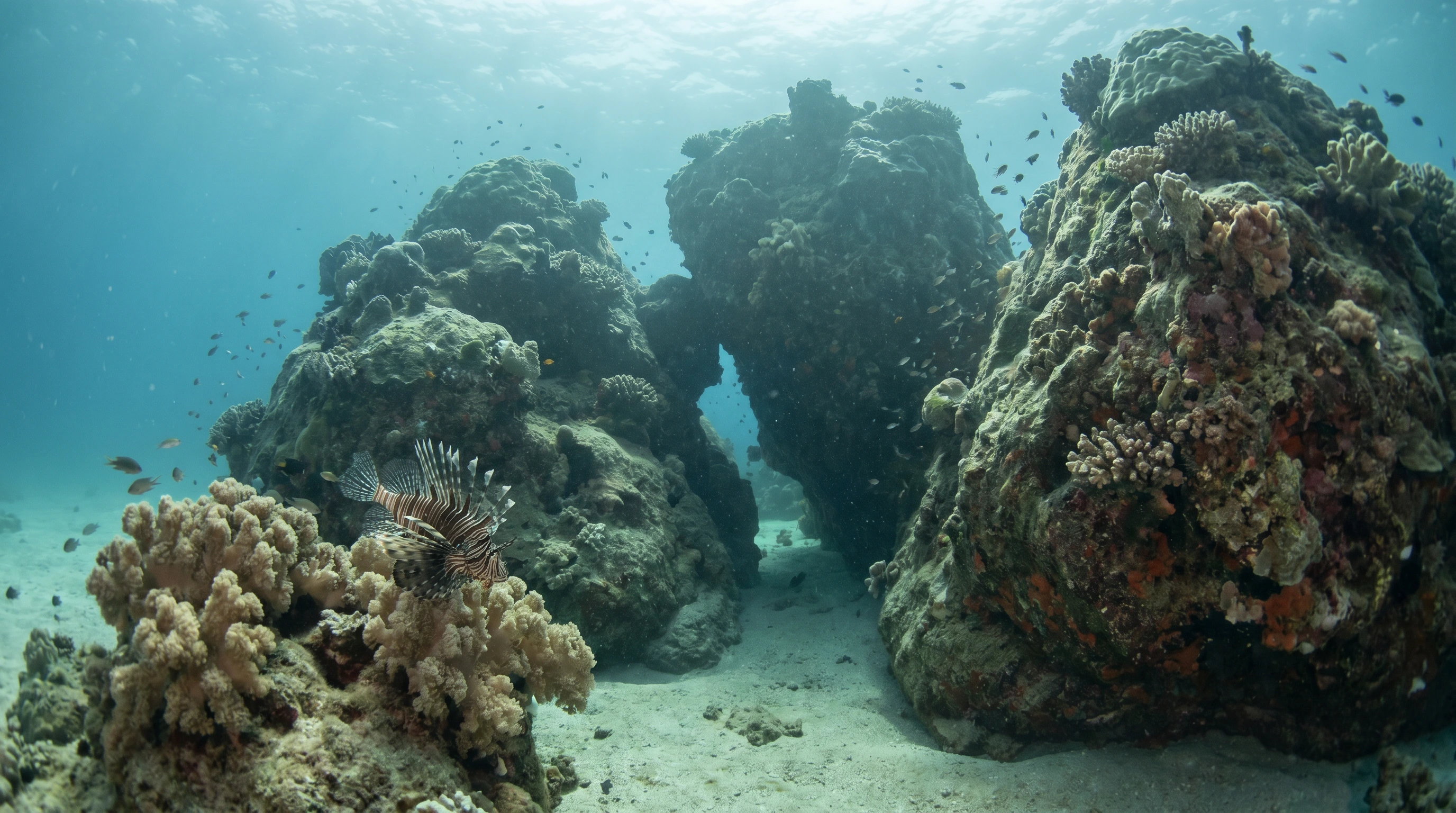 Dive site in United Arab Emirates