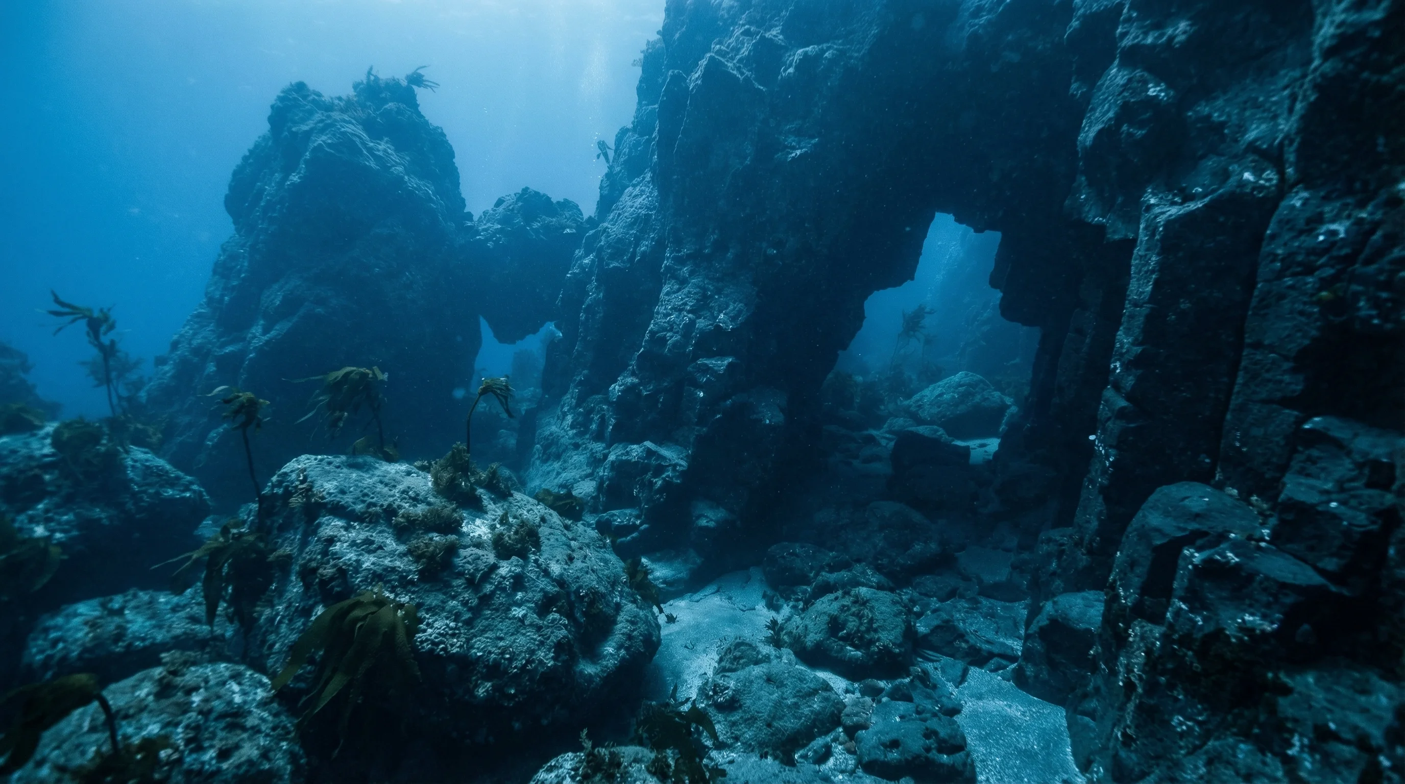 Snapper Rock
