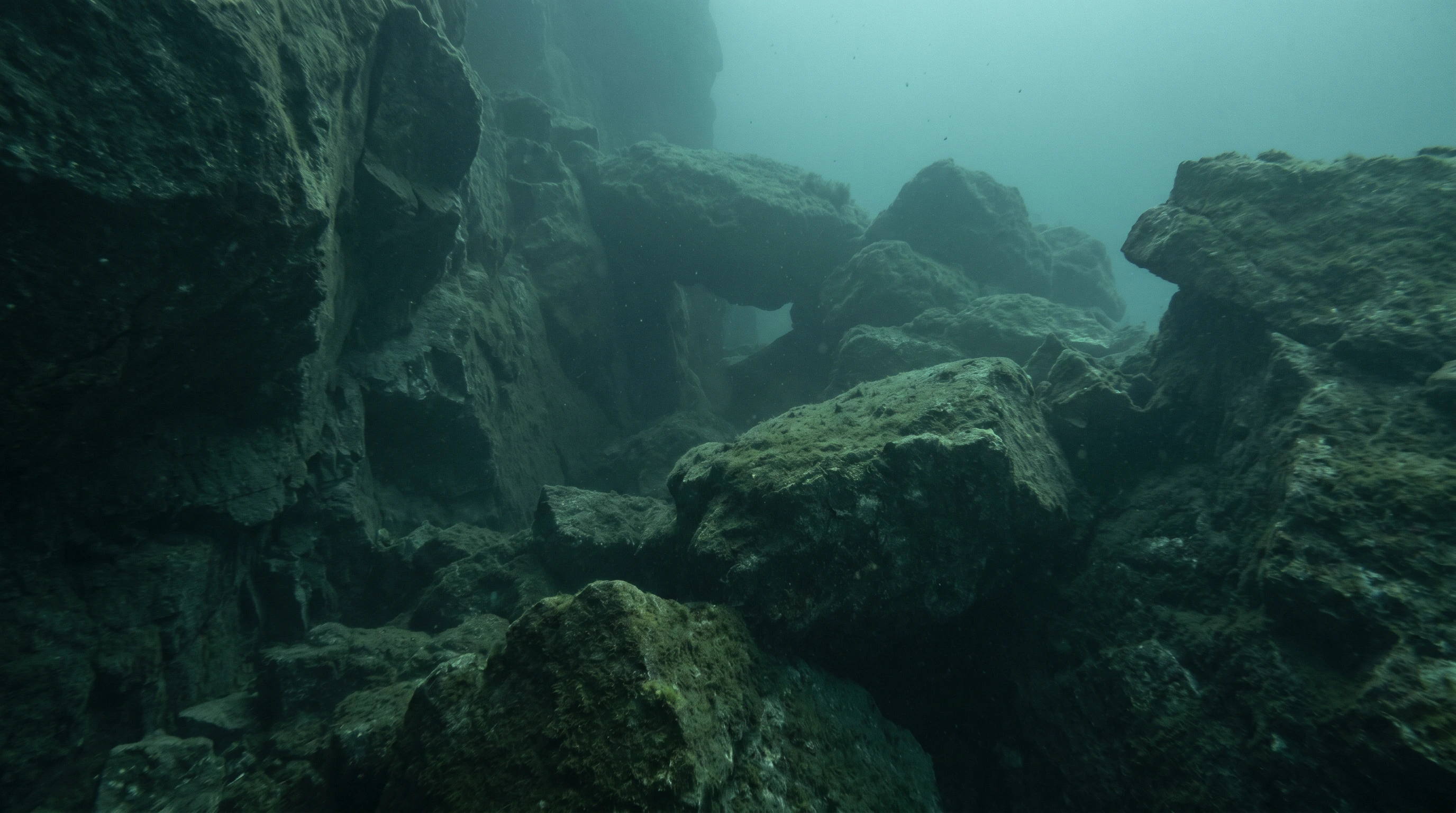 Steinbruch (The Quarry)