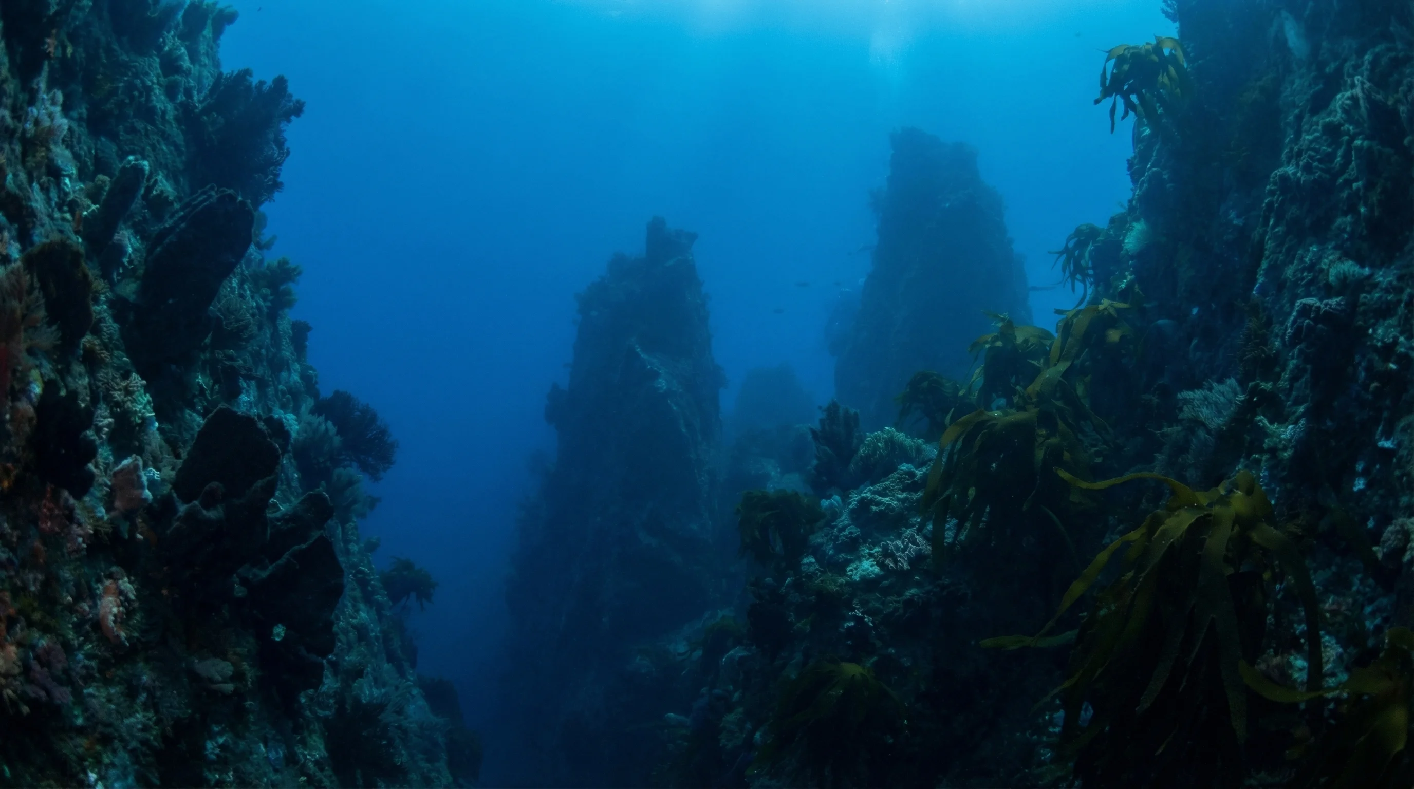 Sugarloaf Rocks (Forsyth Bay)