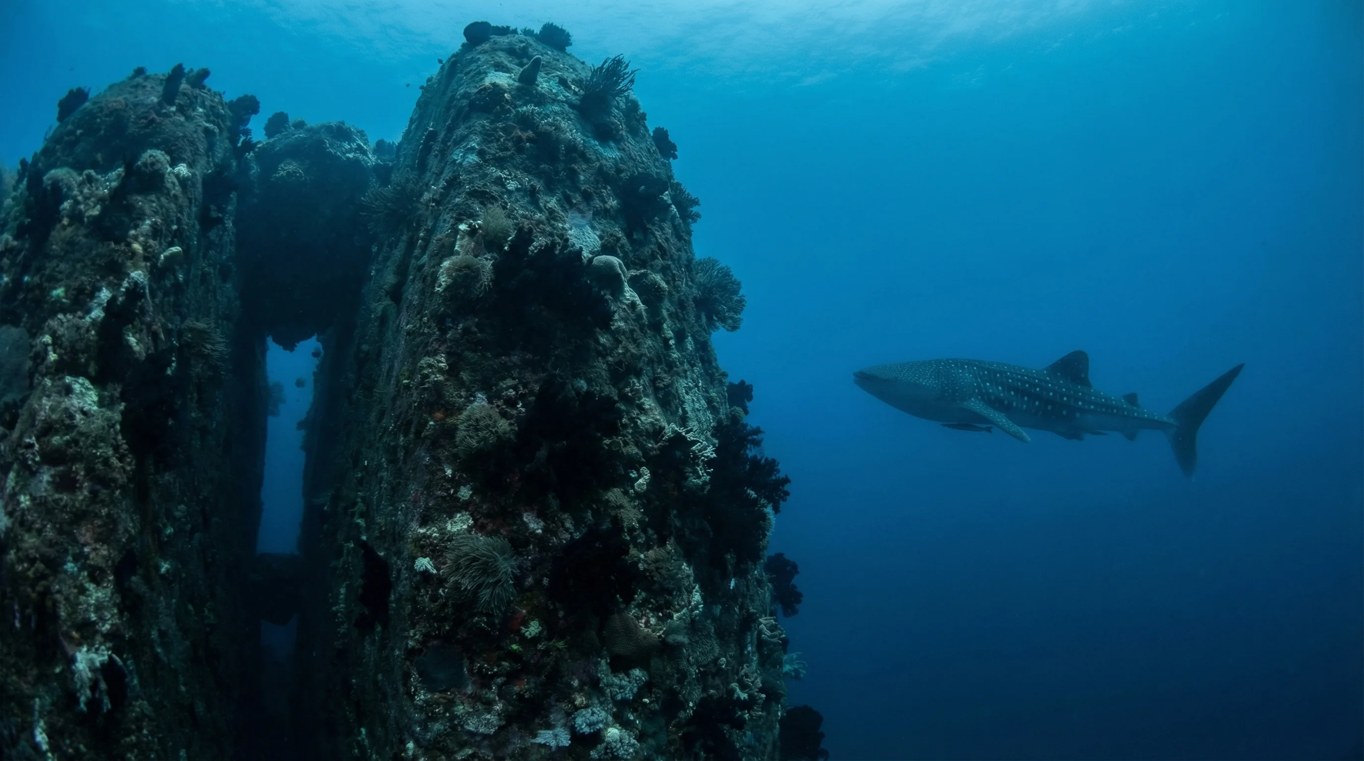 Dive site in Sail Rock
