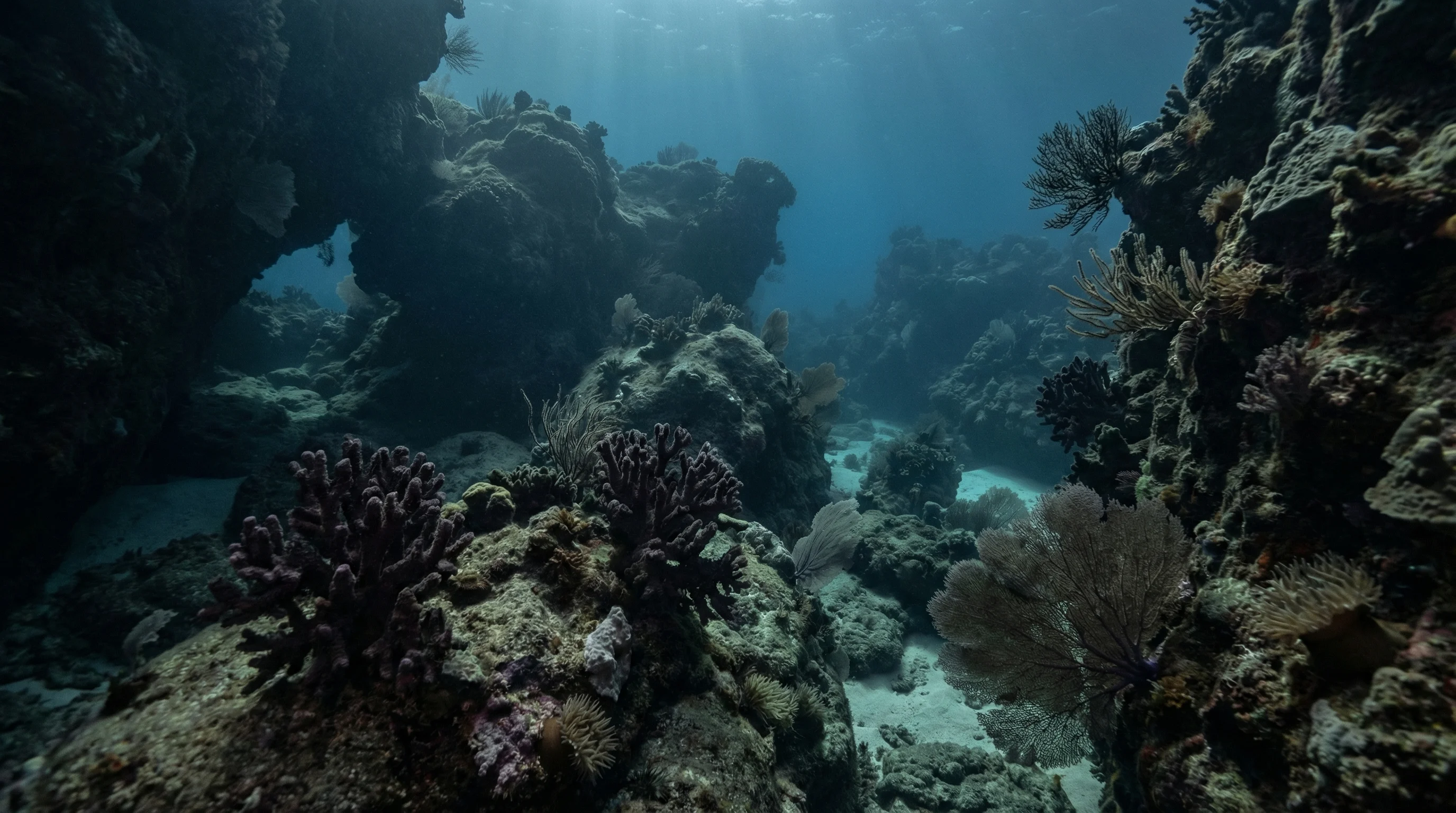 Dive site in Myanmar