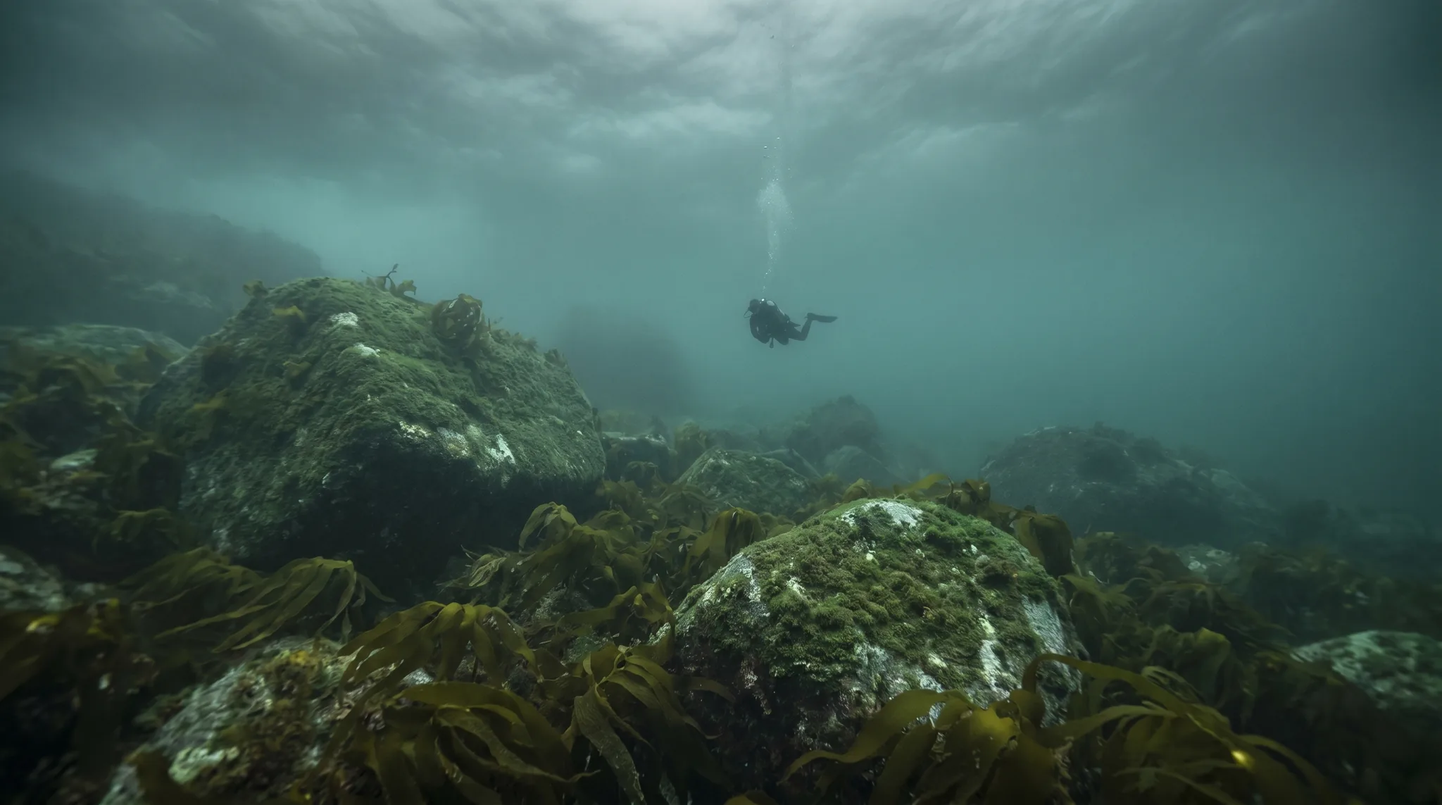 Dive site in Denmark