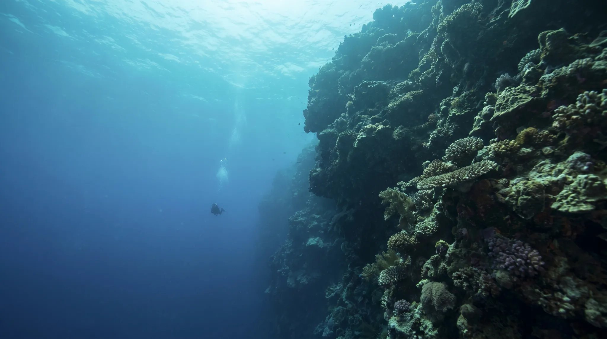 Dive site in Fiji