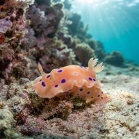 Inkspot Pantechnicon Dorid